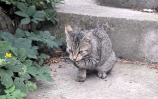 abd32c23-1e30-4408-8b7e-94619af10b14